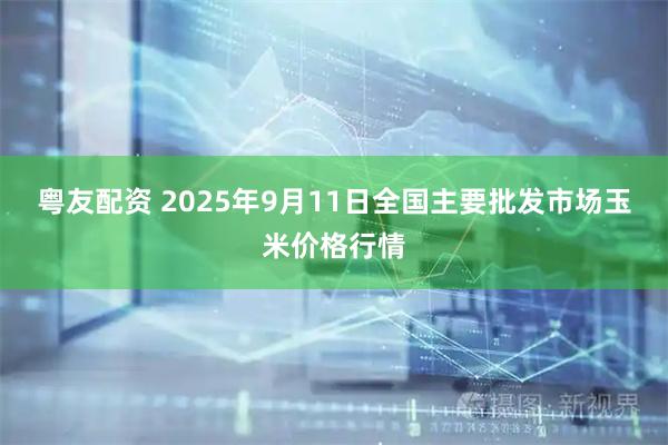 粤友配资 2025年9月11日全国主要批发市场玉米价格行情