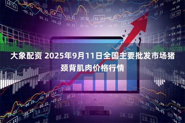 大象配资 2025年9月11日全国主要批发市场猪颈背肌肉价格行情
