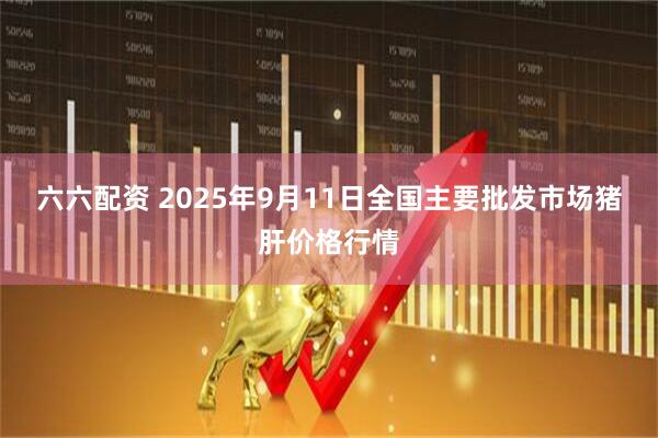六六配资 2025年9月11日全国主要批发市场猪肝价格行情