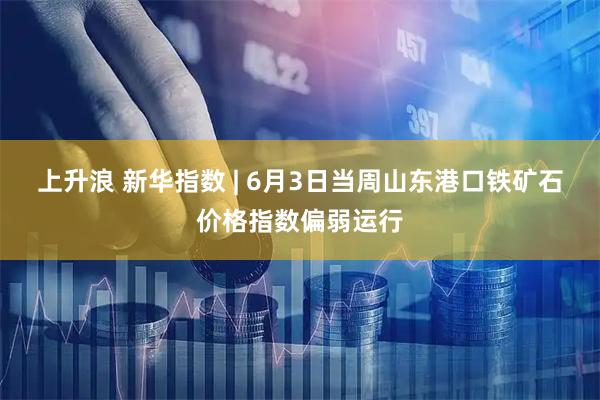 上升浪 新华指数 | 6月3日当周山东港口铁矿石价格指数偏弱运行