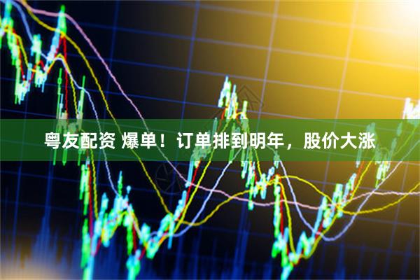 粤友配资 爆单！订单排到明年，股价大涨