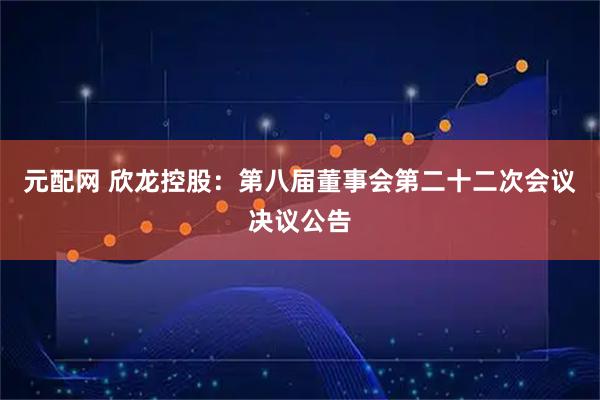 元配网 欣龙控股：第八届董事会第二十二次会议决议公告