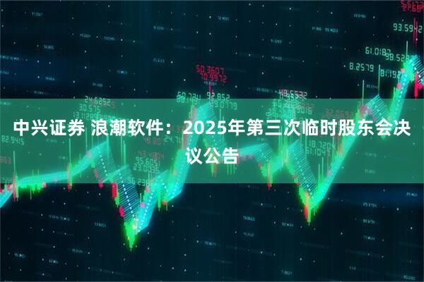 中兴证券 浪潮软件：2025年第三次临时股东会决议公告