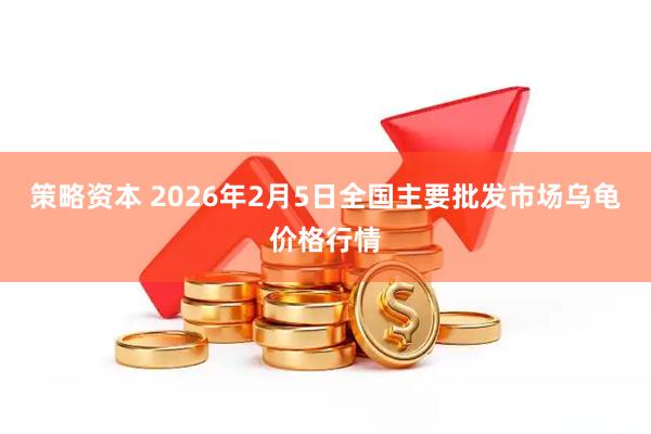 策略资本 2026年2月5日全国主要批发市场乌龟价格行情