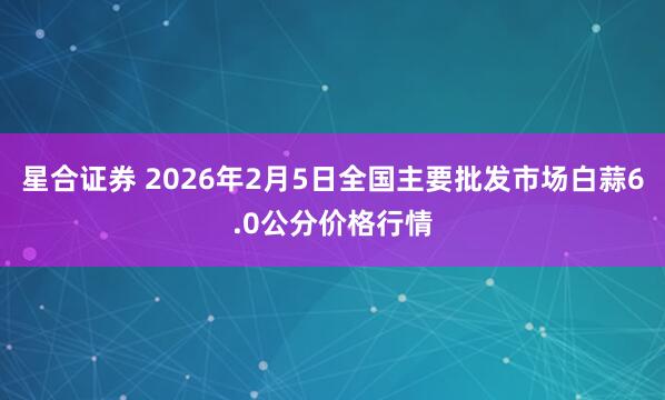 星合证券 2026年2月5日全国主要批发市场白蒜6.0公分价格行情