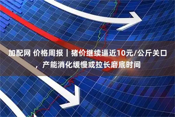 加配网 价格周报｜猪价继续逼近10元/公斤关口，产能消化缓慢或拉长磨底时间